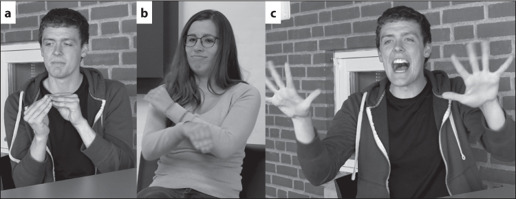 a) A young white man with dark hair, wearing a purple hoodie, is signing with the closed fingertips of both hands meeting in front of his collarbone, his mouth downturned. b) A young, slightly smiling white woman with long brown hair, glasses and a pink top is signing with her left hand raised towards her right shoulder, palm inwards, and her right arm in front, bent at the elbow and down at the wrist, with her closed fingers pointing downwards. c) The same young man in 8.9a) is signing with his hands raised to shoulder level, palms outwards and all fingers splayed, with a wide open, smiling mouth. The caption reads “FINISHED”.