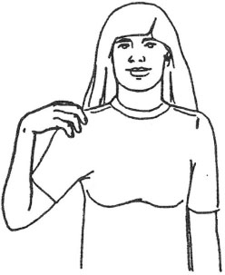 Figure 5. boss, citation form.