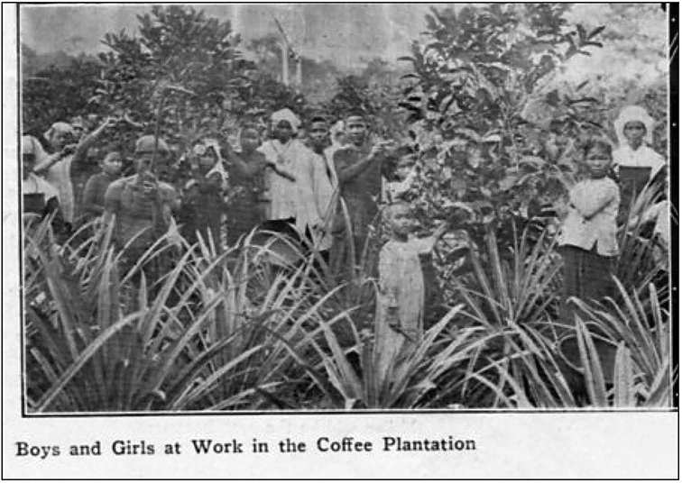 Fig.3.6